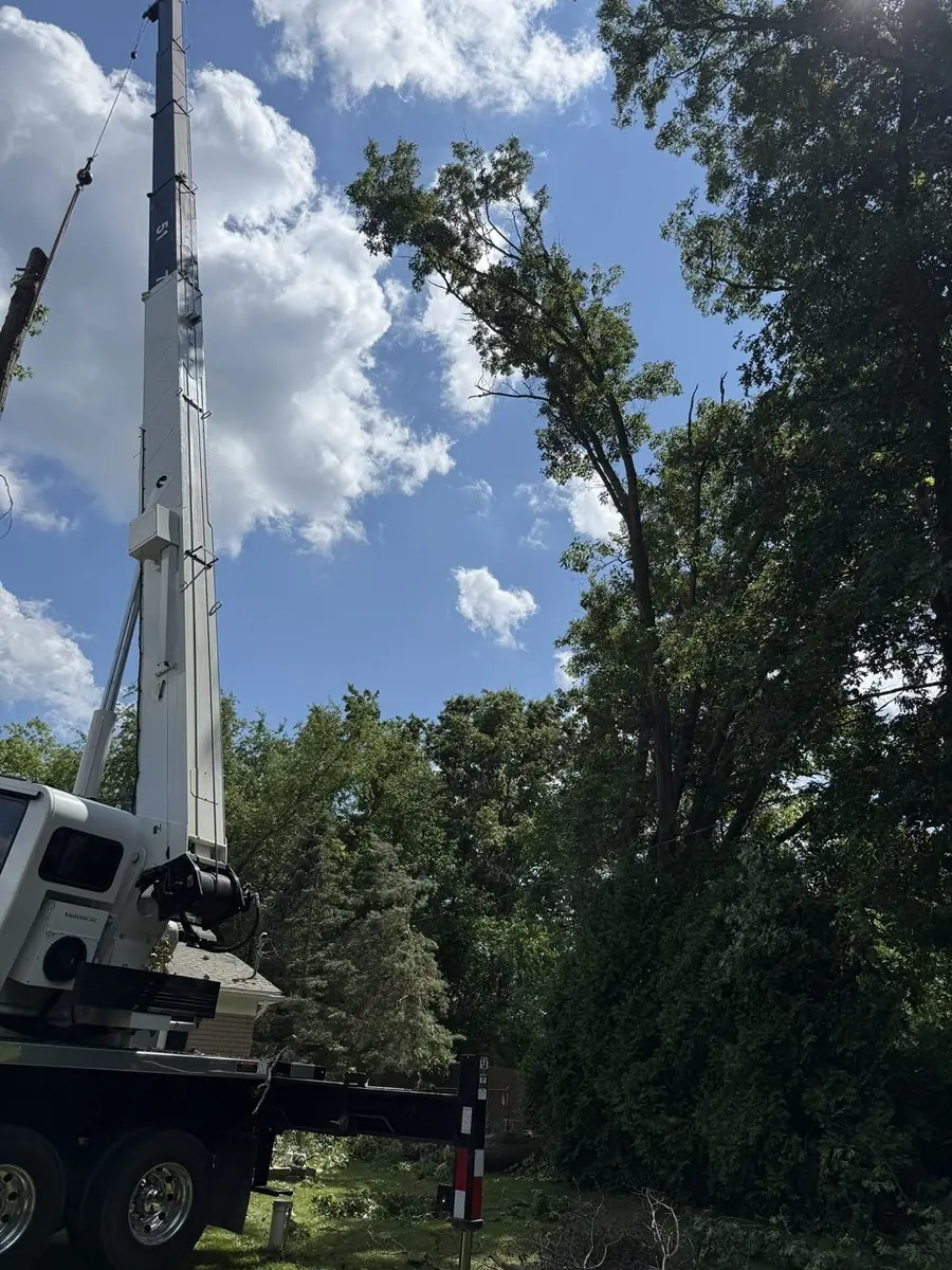 Crane-assisted removal of a brittle dead ash in Oakland County, Michigan