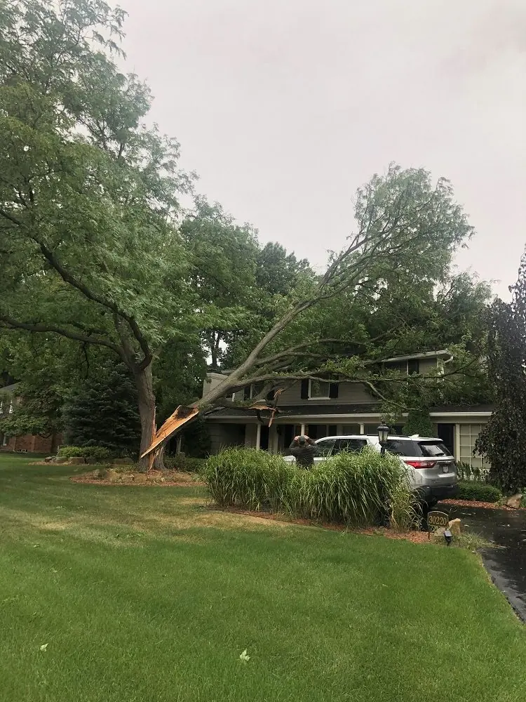 Storm-damaged tree limb fallen across the roof of a two-story Michigan home