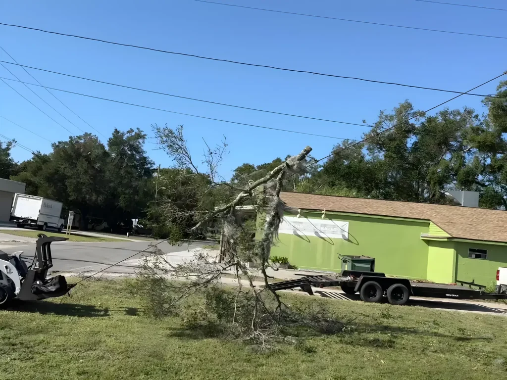 Storm-broken limb on the ground beside a driveway after a Tree Pros storm cleanup in Oakland County, Michigan