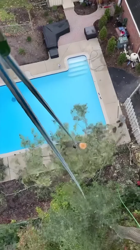 View down from the canopy over a backyard pool during a tree removal in Oakland County