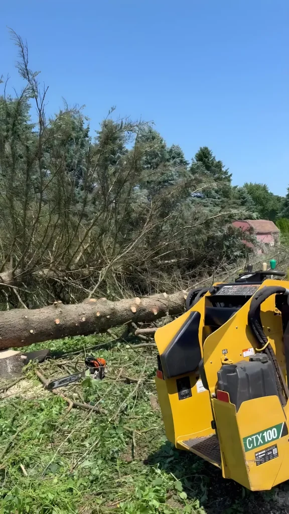 Wood chipper feeding brush during job-site cleanup in Oakland County