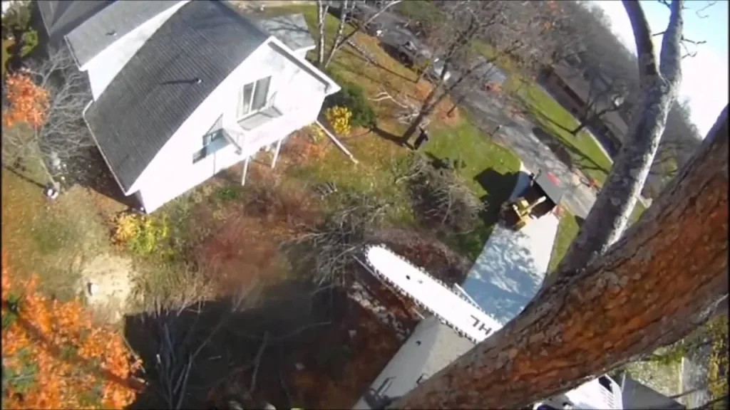 View from the canopy over a Michigan home in fall during a Tree Pros removal