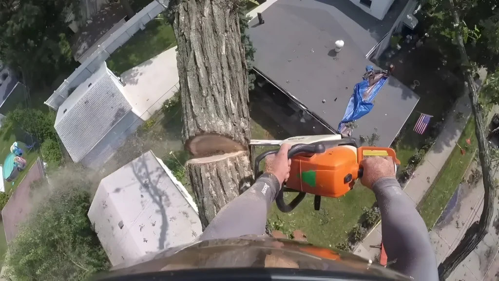 Climber cutting a storm-damaged trunk above a roofline after a large limb hit the house