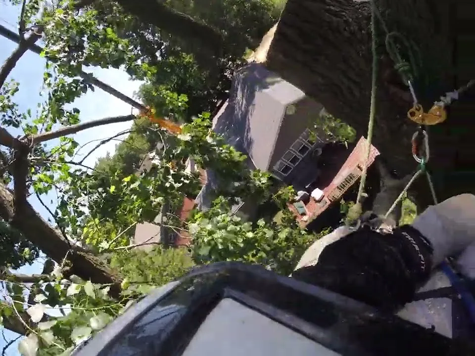 Crane lifting a large limb over an Oakland County neighborhood during a Tree Pros removal